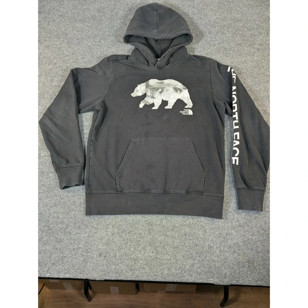 North‎ Face Men Grizzly Bear Mountain Graphic Hoodie Black Sleeve Logo M #2339